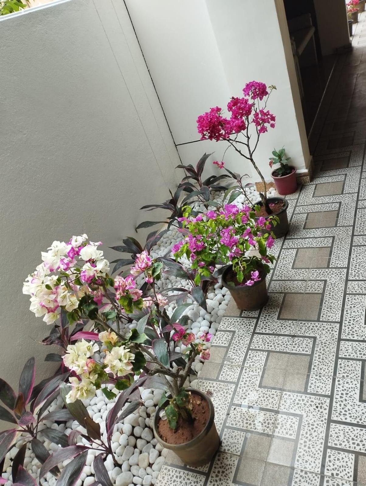 Annai Residency Vellore Exterior foto